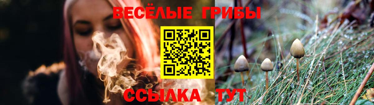 Галлюциногенные грибы прущие грибы Губаха